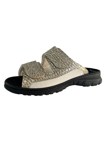 Algemare Clog SUPERWEIT-STRETCH in gold