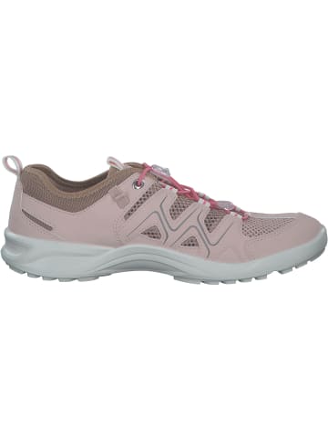 Ecco Sneakers Low in ROSE DUST/NUDE