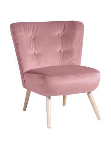 58 aufm Kessel SESSEL Kassi Bezug Samtvelours Buche natur / rosé