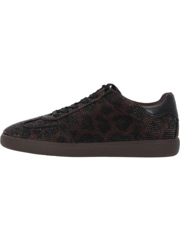 Tamaris Schnürschuhe in MOCCA LEOPARD