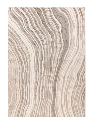 Teppich Boss Kurzflor Teppich Carolin 225 in Silber Beige