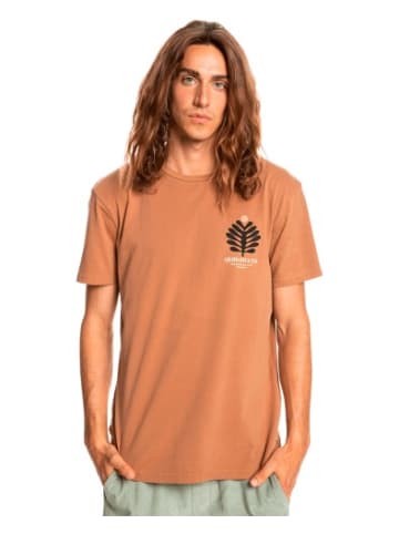 Quicksilver Tshirt in Braun
