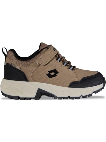 Lotto Kinder Sneaker "Ketcham Lowex" in Braun