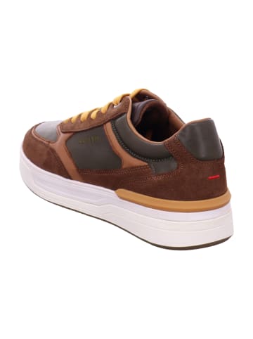 LLOYD Sneaker Low in Braun