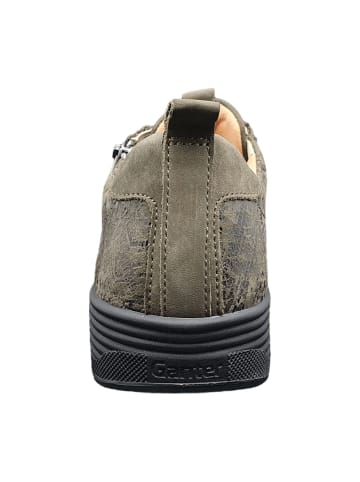 Ganter Komfort Schnürschuhe in Oliv