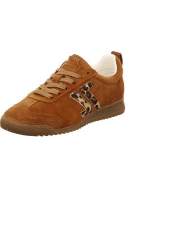 LLOYD Sneaker in braun