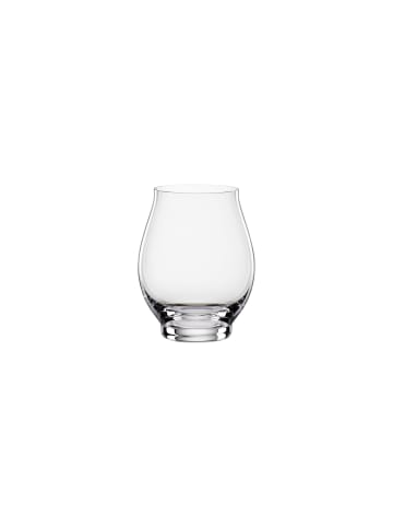 Spiegelau 4er Set Flavored Water Gläser Special Glasses 450 ml in transparent