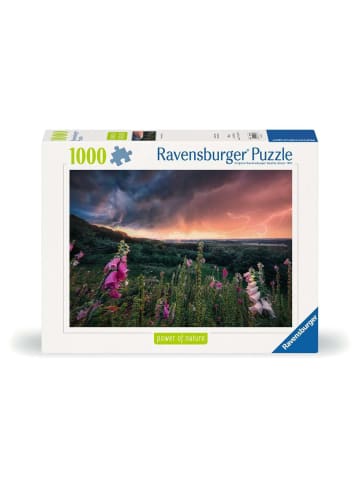 Ravensburger Puzzle 1.000 Teile Ein Sturm zieht auf Ab 14 Jahre in bunt
