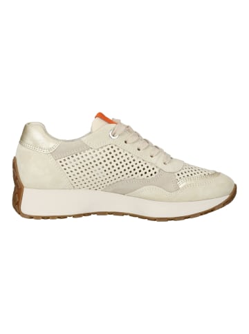 Paul Green Sneaker in Creme