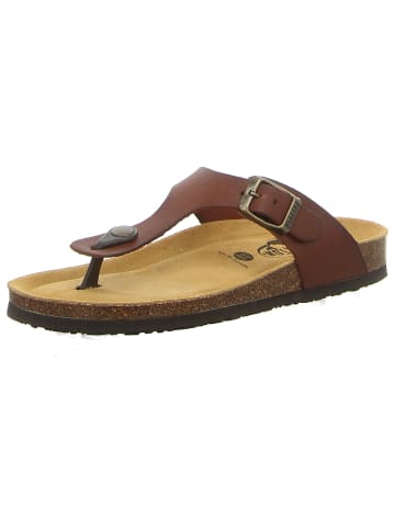 Plakton Zehentrenner in braun