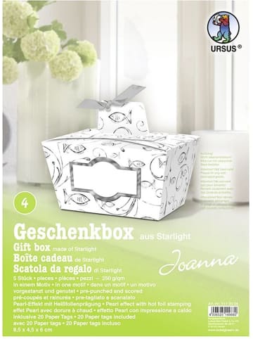 Buntpapierfabrik Ludwig Bähr Geschenkbox Joanna silber 8,5x4,5x6cm Packung mit 5 Stück Motiv: 04
