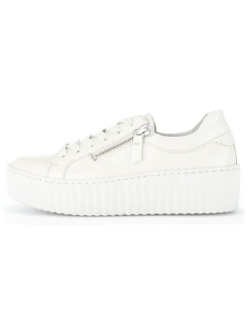 Gabor Lowtop Sneaker Gabor Lowtop Sneaker in latte