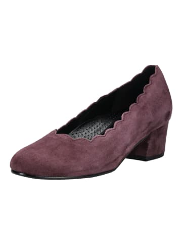 Gabor Pumps in violett