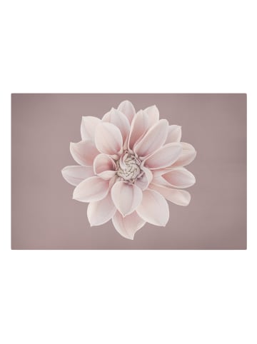 WALLART Leinwandbild - Dahlie Blume Lavendel Weiß Rosa in Rosa