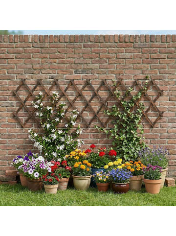 relaxdays 3 x Rankgitter "geflammt" in Braun - (B)45 x (H)270 cm