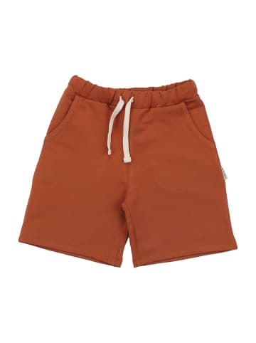 Walkiddy Shorts Cocoa Dream-Shorts