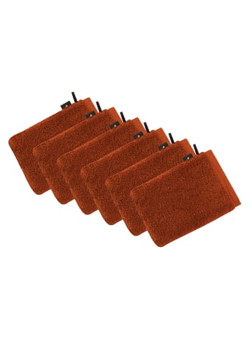 Vossen 6er Pack Waschhandschuh in tiger