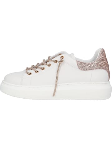 palado Sneakers Low in rose gold