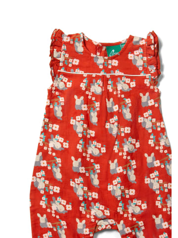 Little Green Radicals Rüschen-Sommer-Romper in Rot