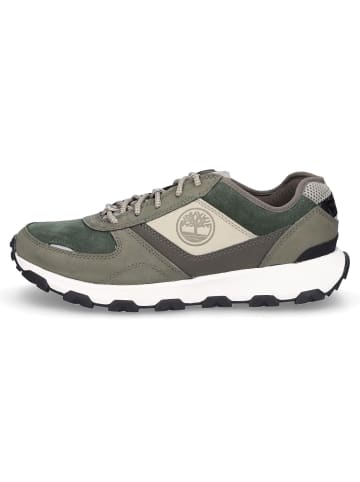 Timberland Sneaker in grün