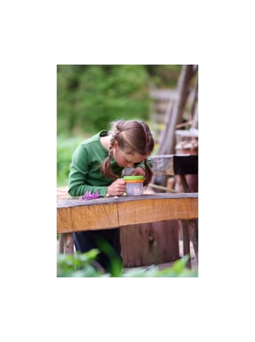 Haba Experimentierset Terra Kids Becherlupe 3 in 1, ab 3 Jahre