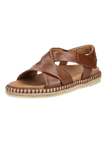 Gabor Sandalen in Cognac