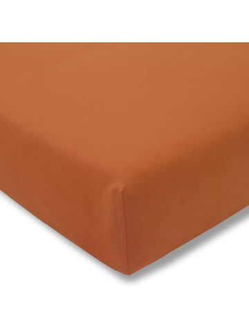 Estella Spannbetttuch Zwirn-Jersey in terracotta