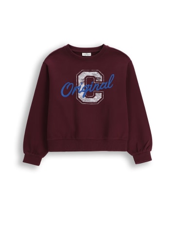 Coccodrillo Sweatshirt in braun