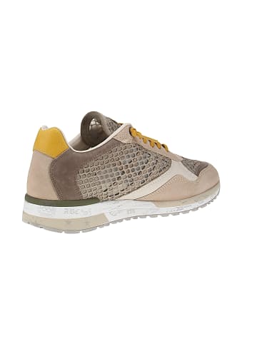 Cetti Sneaker low C-848 V26 XL in Mehrfarbig