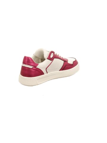 Sioux Sneaker Low in pink