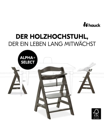 Hauck Hochstuhl Alpha Plus Select Charcoal - im Sparset in grau,motiv