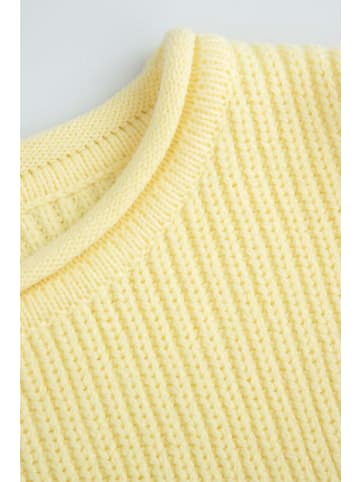 Coccodrillo Pullover in gelb
