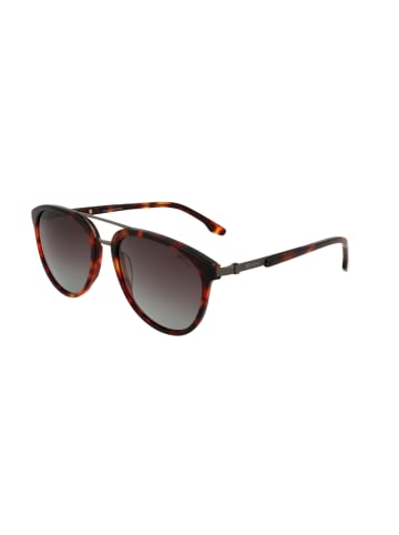 Kodak Sonnenbrille in Brown