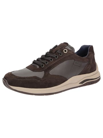 Sioux Sneaker Turibio-713-J in dunkelbraun