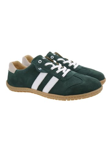 KOEL Schnürschuhe  in Grün
