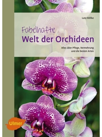 Ulmer Fabelhafte Welt der Orchideen | Alles über Pflege, Vermehrung und die besten...