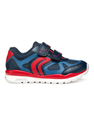 Geox Sneaker in Navy/Rot