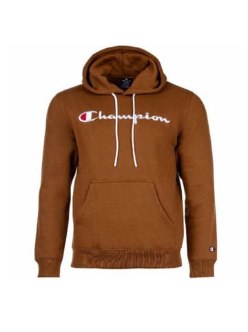 Champion Hoodie Hooded Sweatshirt in Braun