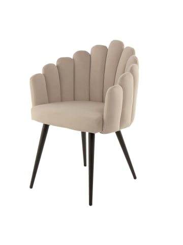 Qiyano Esszimmerstuhl Lani mit Armlehne in Muschel-Form Beige