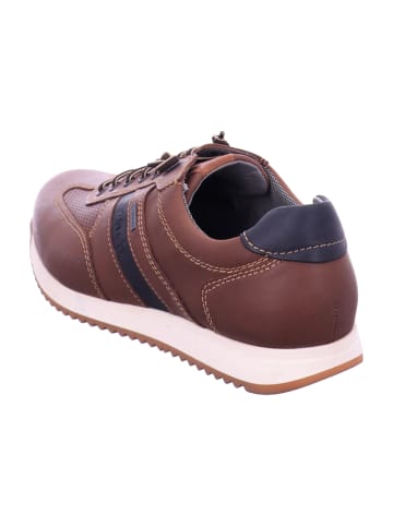 Fretz Men Sportliche Schnürschuhe in Braun