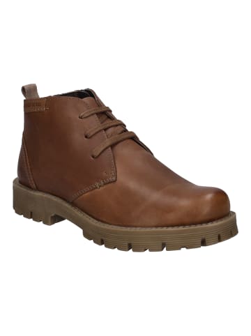 Josef Seibel Stiefelette Cheston in castagne