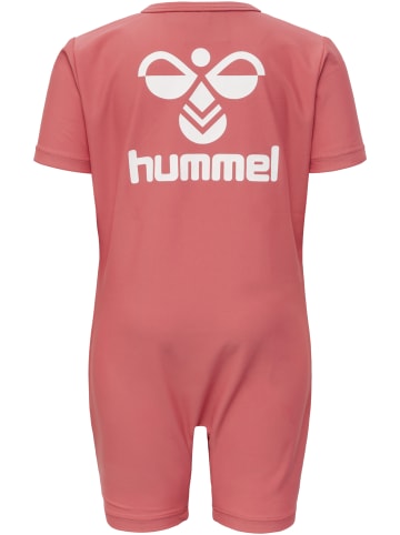 Hummel Hummel Swimsuit Hmldrew Wassersport Unisex Kinder in DUSTY CEDAR