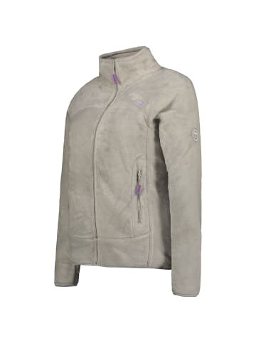 Geographical Norway Fleecejacke in Grau