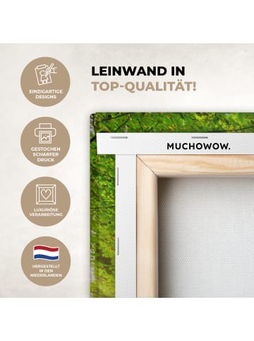 MuchoWow Leinwand bilder Waldlicht (BxH)