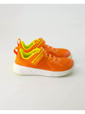 Geox Barfußschuhe in Orange