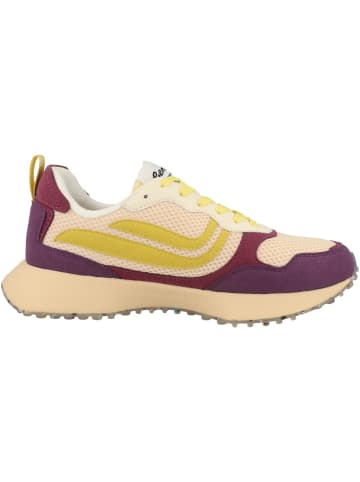 GENESIS Sneaker low G-Marathon Multi Mesh XT in multicolor