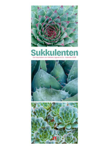 Ackermann Kunstverlag Kalender - Sukkulenten Triplet-Kalender 2026 | Kakteen, Agaven & Co