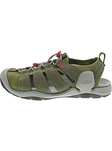 Keen CNX II M Sandale Grün