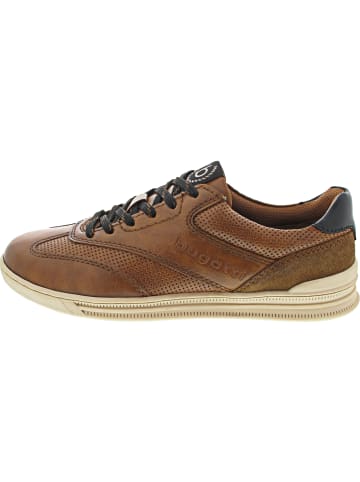 Bugatti Sneaker Braun