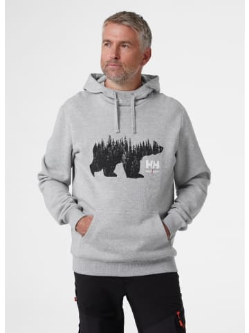 Helly Hansen Hoodie "Logo Hoodie" in Grau